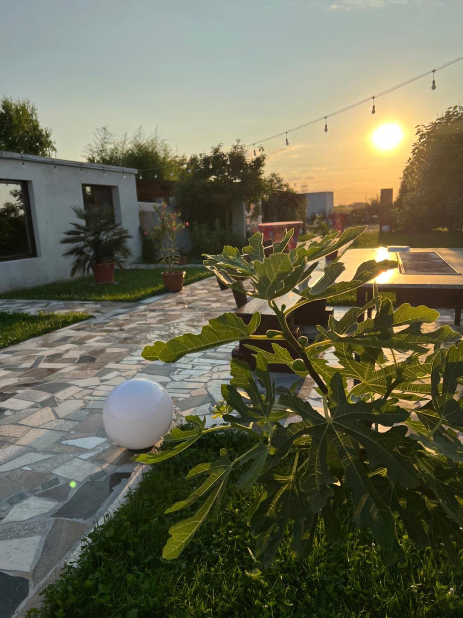 Apartament La Casa Blanca Vladimirescu Zewnętrze zdjęcie